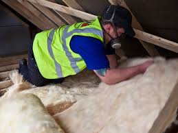 Best Insulation Removal  in Vega, TX