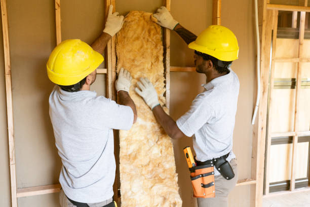 Best Blown-In Insulation  in Vega, TX